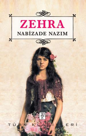 Cover of the book Zehra by Gustave Flaubert, Yadigar Şahin