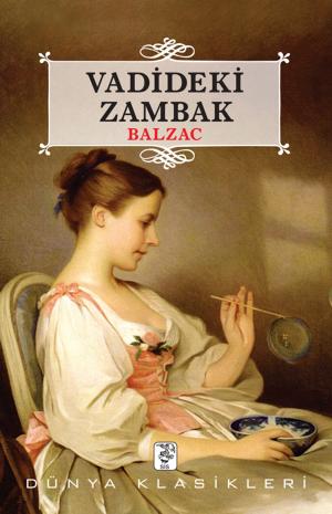 Book cover of Vadideki Zambak