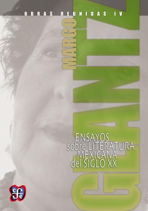 bigCover of the book Obras reunidas IV. Ensayos sobre literatura mexicana del siglo XX by 