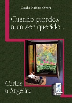 Cover of the book Cuando pierdes a un ser querido... by Rosa Suen