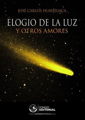 Cover of the book Elogio de la luz by Iván Rivera