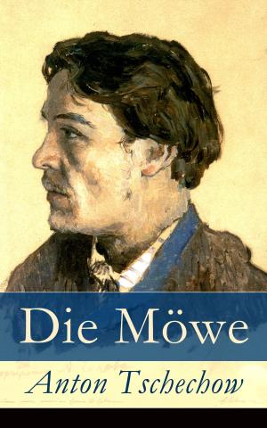 Book cover of Die Möwe