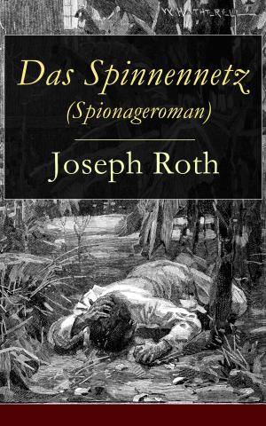 Cover of the book Das Spinnennetz (Spionageroman) by Johannes Scherr