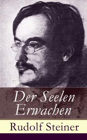 Cover of the book Der Seelen Erwachen by Klabund / Alfred Henschke