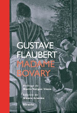 Cover of the book Madame Bovary by Amy Stewart