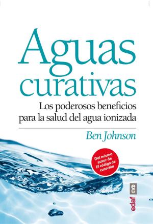 Cover of the book Aguas curativas by Dr. Robert J Haley