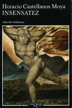 Cover of the book Insensatez by David Boronat, Ester Pallarés