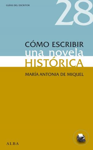 Cover of the book Cómo escribir una novela histórica by Joan Detz