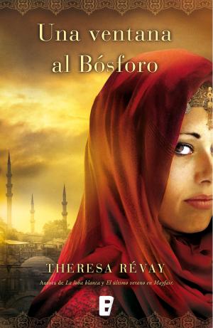 Cover of the book Una ventana al bósforo by Ana Burgos