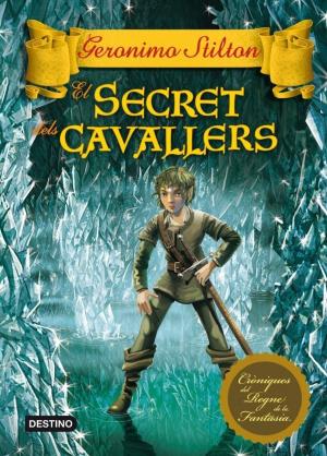 Cover of the book El secret dels cavallers by Víctor Amela.