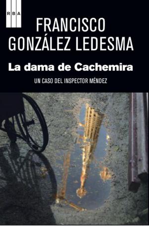 Cover of the book La dama de Cachemira by Berna  González Harbour