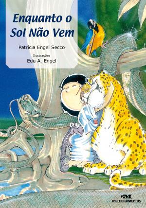 Cover of the book Enquanto o Sol Não Vem by Editora Melhoramentos, Stela Handa