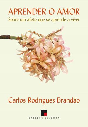 Cover of the book Aprender o amor by Menga Lüdke