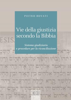 bigCover of the book Vie della giustizia secondo la Bibbia by 
