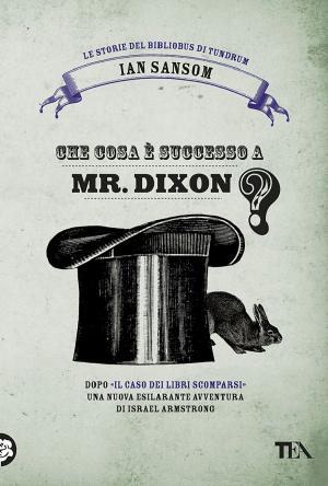 Book cover of Che cosa è successo a Mr Dixon?