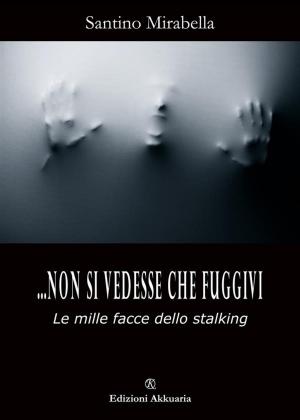 Cover of the book Non si vedesse che fuggivi by Klem D’Avino