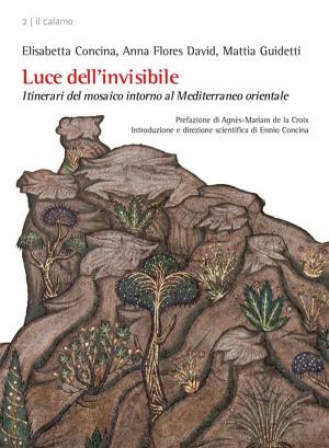 Book cover of Luce dell’invisibile