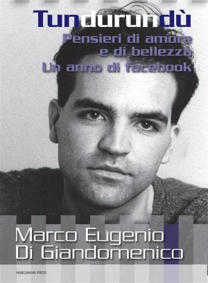 Cover of the book Tundurundù by Ruben Garcia Cebollero