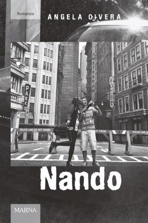 Cover of the book Nando by Ant Smith