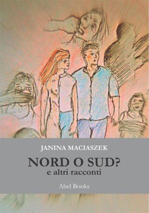 Cover of the book Nord o Sud? by Carmen Rubolino