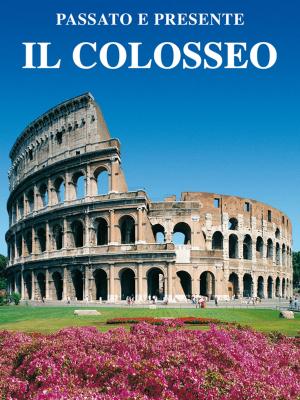 Book cover of Il Colosseo