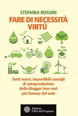 Cover of the book Fare di necessità virtù by Marina Ferrara