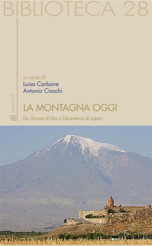 Book cover of La montagna oggi