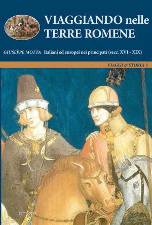 Cover of the book Viaggiando nelle Terre Romene. Italiani ed europei nei principati (secc. XVI-XIX) by Matteo Sanfilippo, salvatore palidda