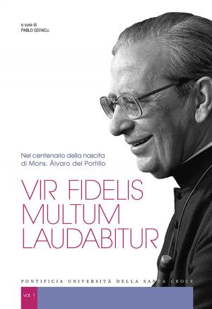 Cover of the book Vir fidelis multum laudabitur by Patrick Sookhdeo