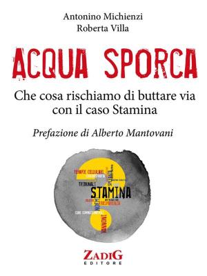 Cover of the book Acqua sporca by Giulio Cassano