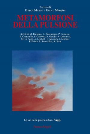 Cover of the book Metamorfosi della pulsione by Henry Mintzberg
