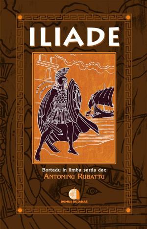 Cover of the book Iliade by Rolando Costa