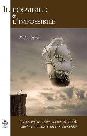 Cover of the book Il possibile e l'impossibile by Walter Ferrero