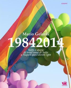 Cover of 19842014. Volti e storie di 30 anni di lotte a Napoli per i diritti lgbt