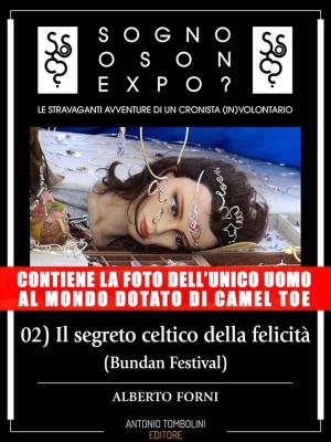 Cover of the book Sogno o son Expo?- 02 Il segreto celtico della felicità by Antonina Giordano, Ilaria Leccese