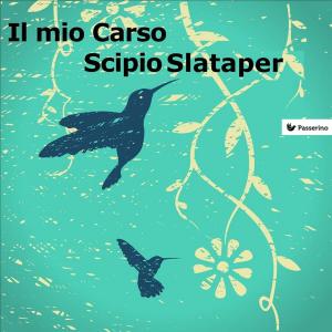 Cover of the book Il mio Carso by Passerino Editore