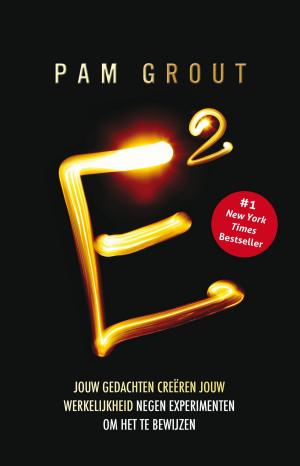 Cover of the book E-Kwadraat by Paul Dowswell