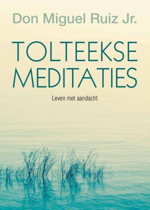 Cover of the book Tolteekse meditaties by Henny Thijssing-Boer