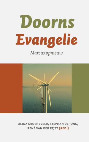 Cover of the book Doorns evangelie by Sarah Lark