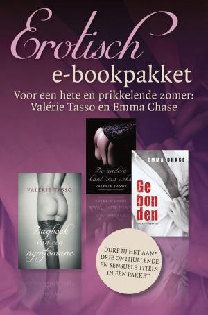 Book cover of Erotisch e-bookpakket