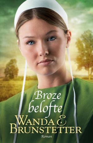 Cover of the book Broze belofte - De Indiana Amish 1 by Kees Kant, Michael Mulder, Bernhard Reitsma