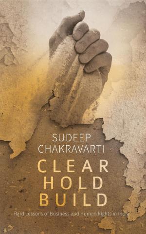 bigCover of the book Clear Hold Build: Business and Human Rights in India by 