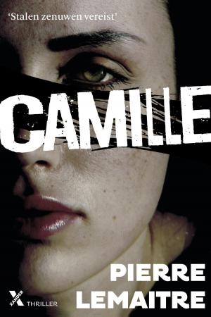 Cover of the book Camille by Ingeborg van Beek