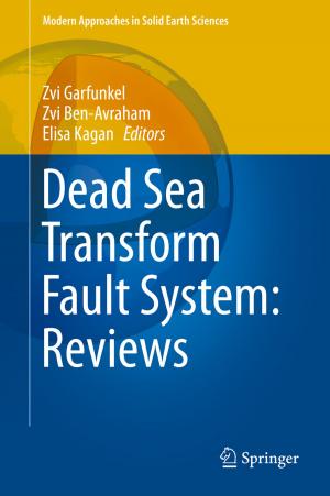 Cover of the book Dead Sea Transform Fault System: Reviews by Cornelis C. Goslinga