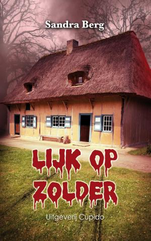 Cover of the book Lijk op zolder by Sandra Berg