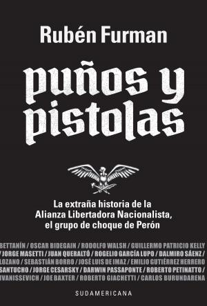 Cover of the book Puños y pistolas by Flavia Tomaello