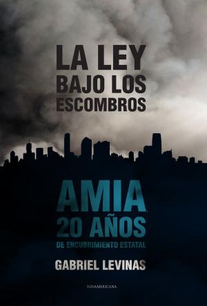 Cover of the book La ley bajo los escombros by Karen Solomon, Jeffrey McGill