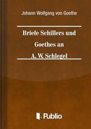 Book cover of Briefe Schillers und Goethes an A. W. Schlegel