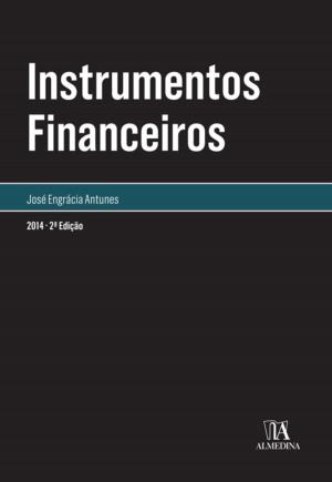 Cover of the book Os Instrumentos Financeiros by Sara Teixeira Bruno Santiago