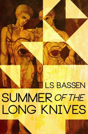 Cover of the book Summer of the Long Knives by SG Simmons